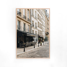 Load image into Gallery viewer, Place Dauphin