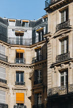 Load image into Gallery viewer, Morning Light
