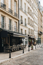 Load image into Gallery viewer, Place Dauphin