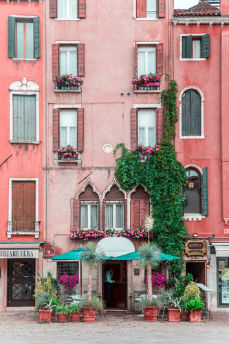 Pink Facade Venice Italy